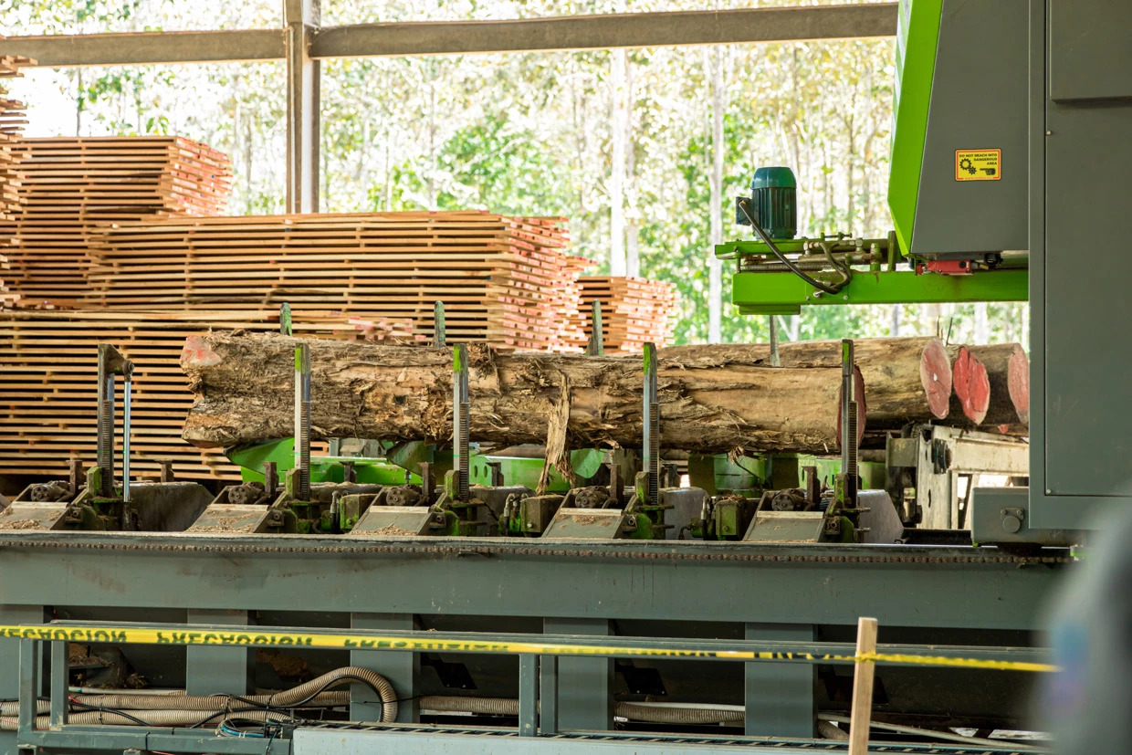 Panamá has the first teak processing plant Ecotopia Teak